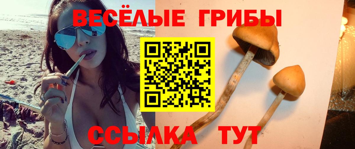 Псилоцибиновые грибы ЛСД Ипатово